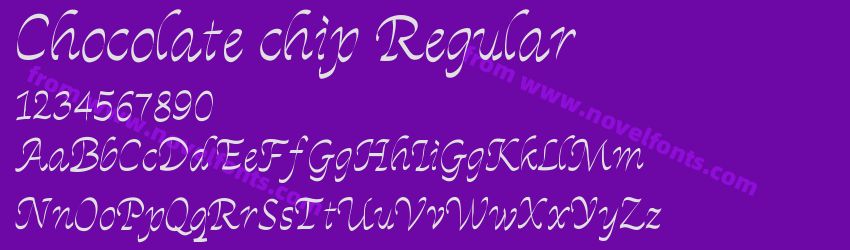 Chocolate chip RegularPreview