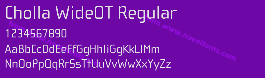 Cholla WideOT RegularPreview Cholla WideOT RegularPreview