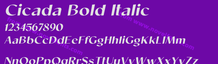 Cicada Bold ItalicPreview Cicada Bold ItalicPreview