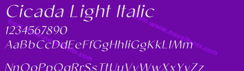 Cicada Light ItalicPreview