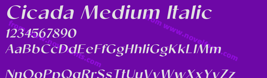 Cicada Medium ItalicPreview Cicada Medium ItalicPreview