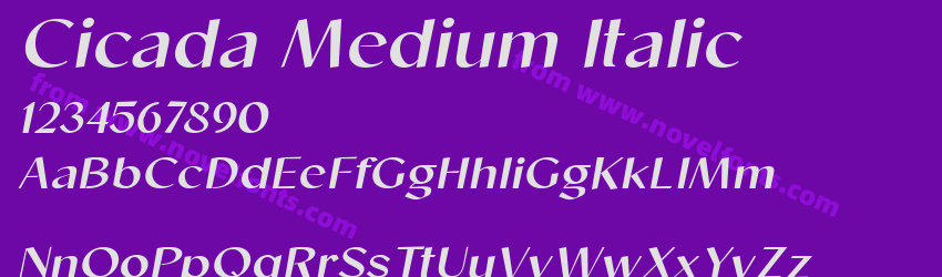 Cicada Medium ItalicPreview Cicada Medium ItalicPreview