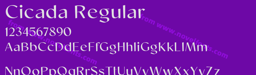 Cicada RegularPreview Cicada RegularPreview