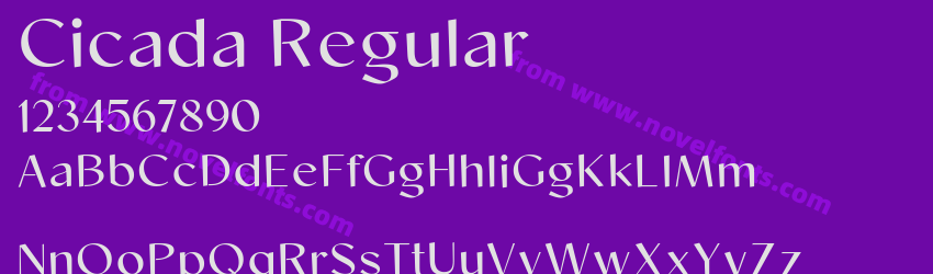 Cicada RegularPreview Cicada RegularPreview