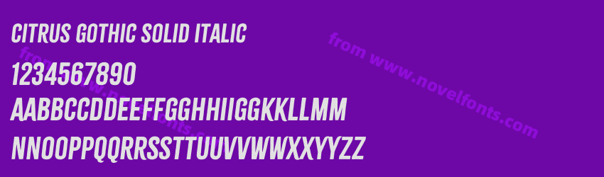 Citrus Gothic Solid ItalicPreview Citrus Gothic Solid ItalicPreview