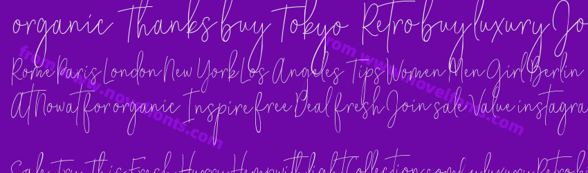 City Streetwear FreePreview City Streetwear FreePreview