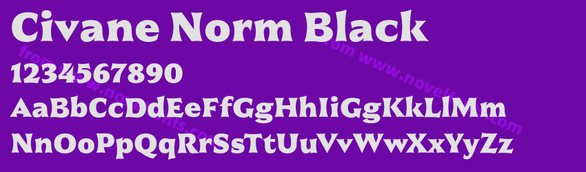 Civane Norm BlackPreview