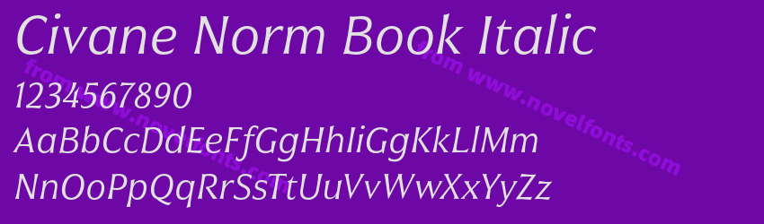 Civane Norm Book ItalicPreview Civane Norm Book ItalicPreview