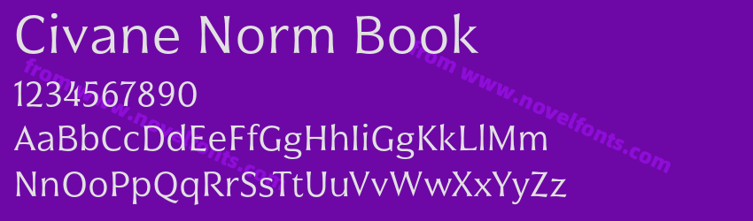 Civane Norm BookPreview Civane Norm BookPreview
