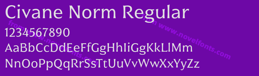 Civane Norm RegularPreview