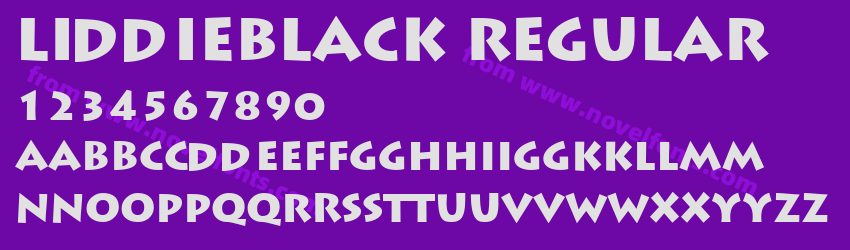 LiddieBlack RegularPreview