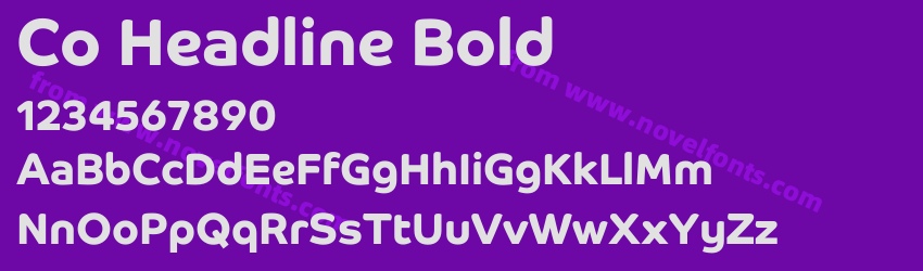 Co Headline BoldPreview