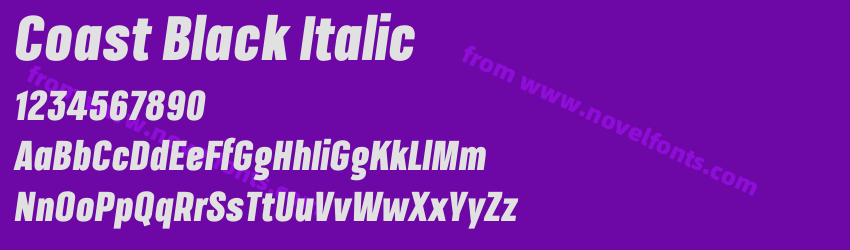 Coast Black ItalicPreview