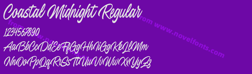 Coastal Midnight RegularPreview Coastal Midnight RegularPreview