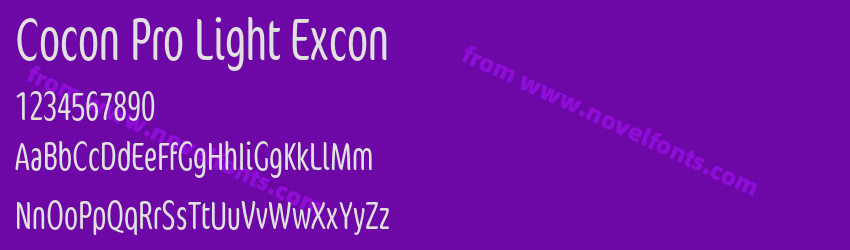 Cocon Pro Light ExconPreview Cocon Pro Light ExconPreview