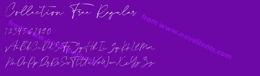 Collection Free RegularPreview Collection Free RegularPreview