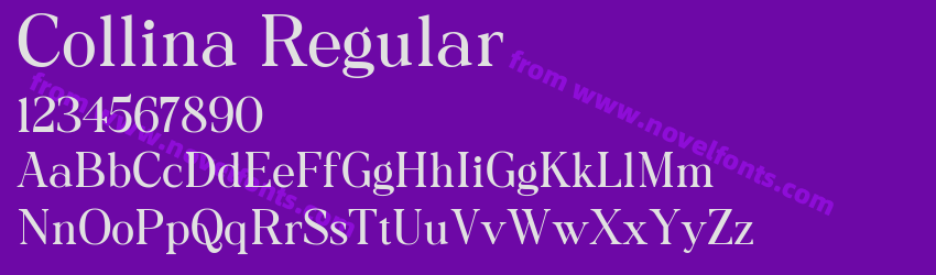 Collina RegularPreview