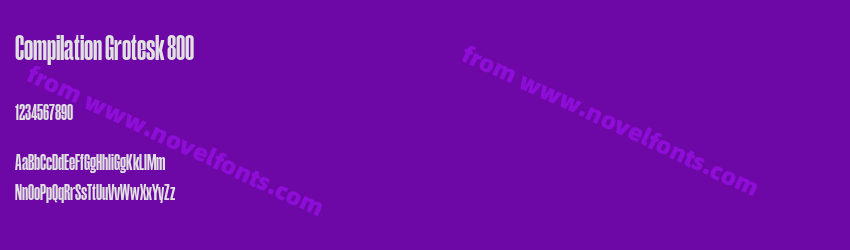 Compilation Grotesk 800Preview Compilation Grotesk 800Preview