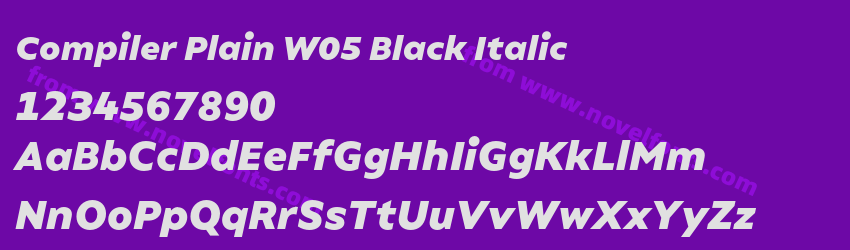 Compiler Plain W05 Black ItalicPreview Compiler Plain W05 Black ItalicPreview