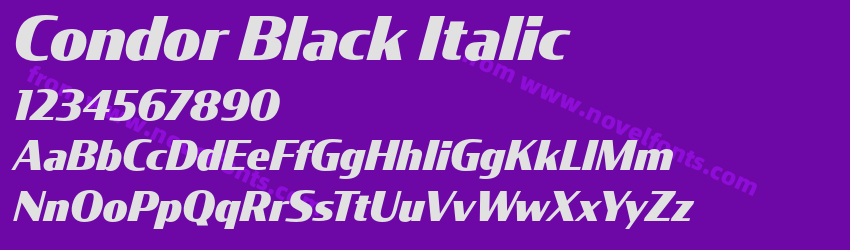 Condor Black ItalicPreview Condor Black ItalicPreview