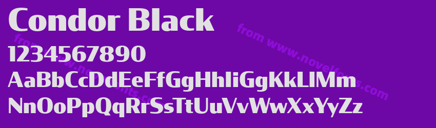 Condor BlackPreview Condor BlackPreview