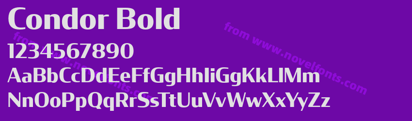 Condor BoldPreview Condor BoldPreview