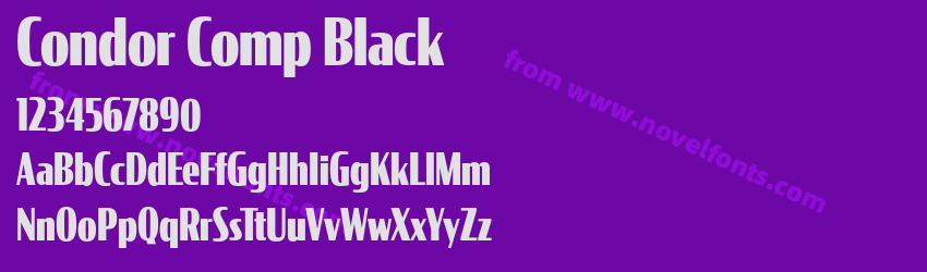 Condor Comp BlackPreview Condor Comp BlackPreview