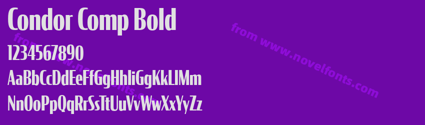 Condor Comp BoldPreview Condor Comp BoldPreview
