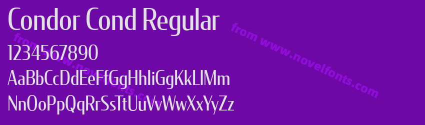Condor Cond RegularPreview Condor Cond RegularPreview