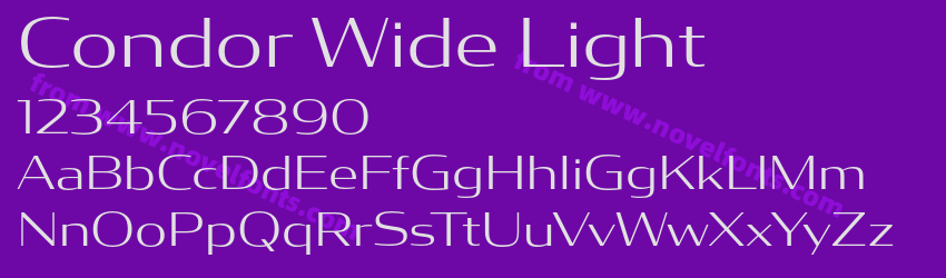 Condor Wide LightPreview Condor Wide LightPreview