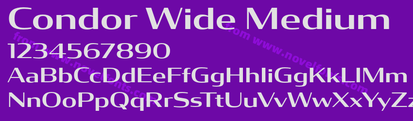 Condor Wide MediumPreview Condor Wide MediumPreview