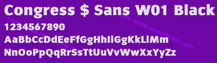 Congress $ Sans W01 BlackPreview Congress $ Sans W01 BlackPreview