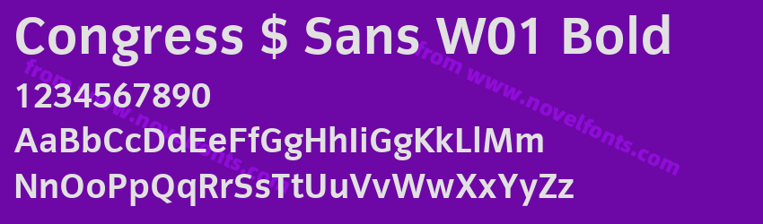 Congress $ Sans W01 BoldPreview Congress $ Sans W01 BoldPreview