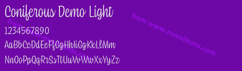 Coniferous Demo LightPreview Coniferous Demo LightPreview