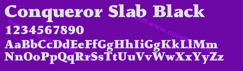 Conqueror Slab BlackPreview Conqueror Slab BlackPreview
