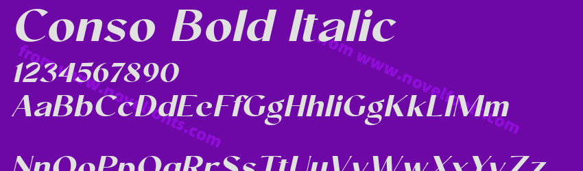 Conso Bold ItalicPreview Conso Bold ItalicPreview