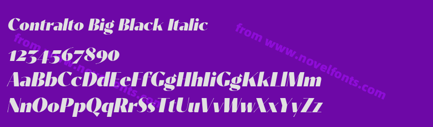 Contralto Big Black ItalicPreview Contralto Big Black ItalicPreview