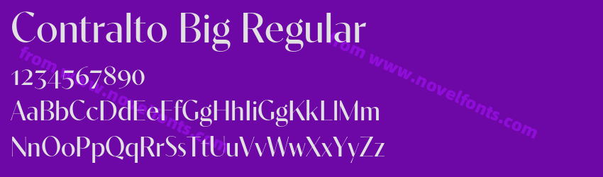 Contralto Big RegularPreview Contralto Big RegularPreview