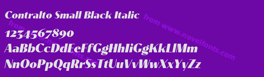 Contralto Small Black ItalicPreview