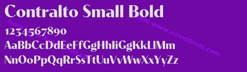 Contralto Small BoldPreview Contralto Small BoldPreview