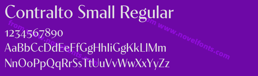 Contralto Small RegularPreview Contralto Small RegularPreview