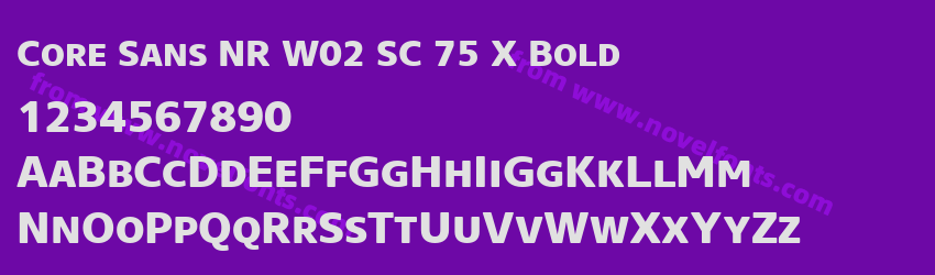 Core Sans NR W02 SC 75 X BoldPreview Core Sans NR W02 SC 75 X BoldPreview