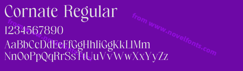 Cornate RegularPreview Cornate RegularPreview
