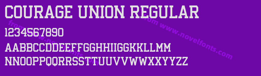 Courage Union RegularPreview