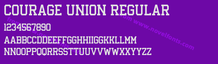 Courage Union RegularPreview
