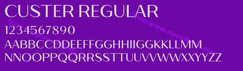 Custer RegularPreview Custer RegularPreview