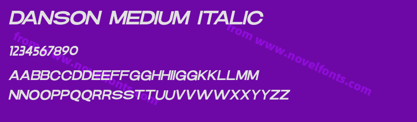 DANSON MEDIUM ITALICPreview DANSON MEDIUM ITALICPreview