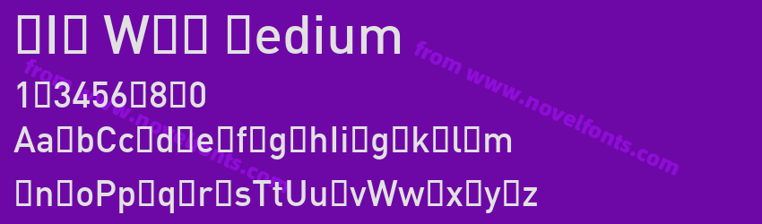 DIN WXX MediumPreview DIN WXX MediumPreview