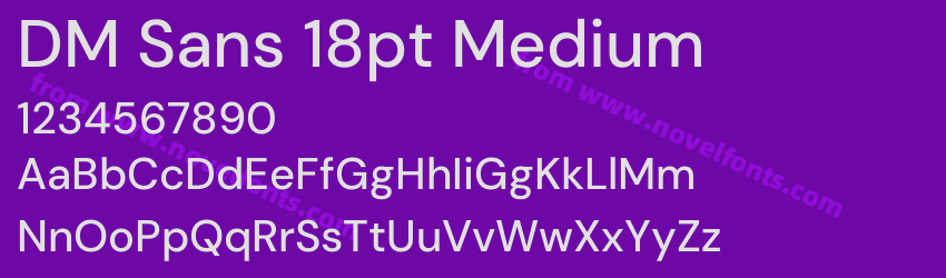 DM Sans 18pt MediumPreview
