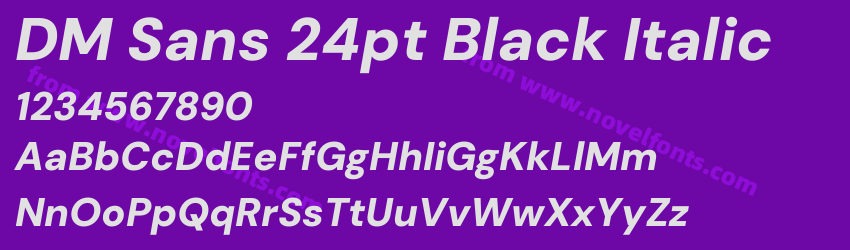 DM Sans 24pt Black ItalicPreview DM Sans 24pt Black ItalicPreview